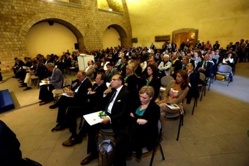 vincenzo schiavo confesercenti (19)