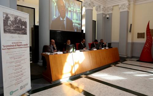 vincenzoschiavo demita ciroalfano (15)